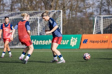 Bild 139 - wBJ Hamburger SV - Hertha BSC : Ergebnis: 2:1